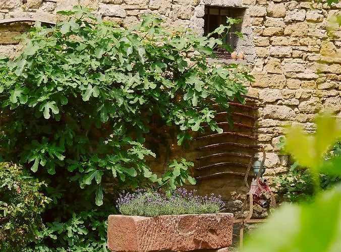 Urige Schlaffaesser Im Winzergarten Inklusive Weinprobe Bockenheim an der Weinstrasse