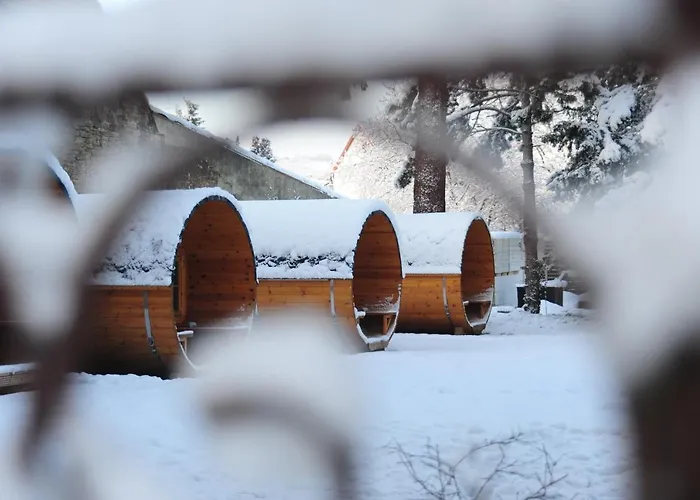 Urige Schlaffaesser Im Winzergarten Inklusive Weinprobe Bockenheim an der Weinstrasse